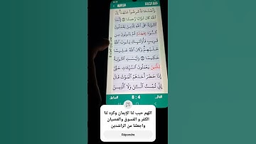 سورة النساء الآية 17-18 سعد الغامدي