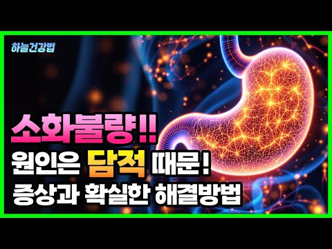 만성 소화불량 근본 원인은 <strong>담적</strong>. <strong>담적</strong> 구체적 증상과 확실한 해결방법 (배지압, 식이조절)