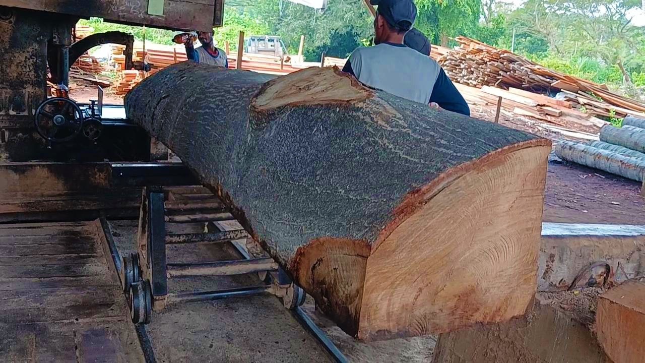Giant Sawmill Power Extreme Sawing of Large Chunks of Wood Like Never ...