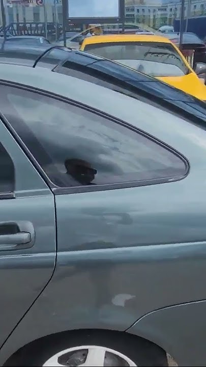 Набережные Челны Айсберг 11год норма готовая живая в авито нет Денег ...