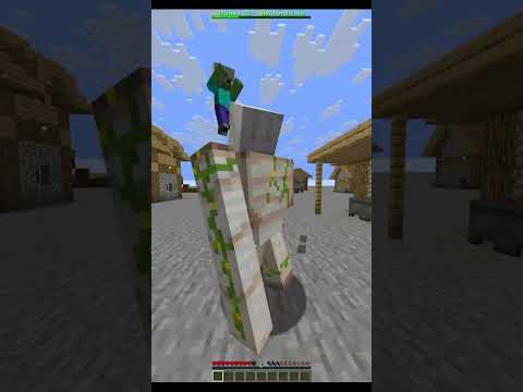 Mendigo aldeano jasja #minecraft #minecraftshorts #humor #humorviral #reto #hierro #susto