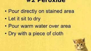 best way to remove cat urine odor