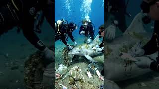 Rescuing a helpless Dolphin trapped in a tire and ocean trash 🐬🆘#shorts