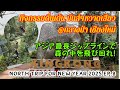 アジア最長ジップラインで森の中を飛び回れ 新年の旅2025-8/Fly through forest on Asia's longest zipline New Year 2025-8【EP.224】
