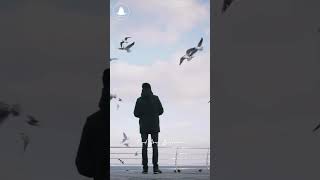 Morning Birds Relaxing Meditation, Stress Relief, Meditation #shortsfeed  #natureshorts #shortsviral