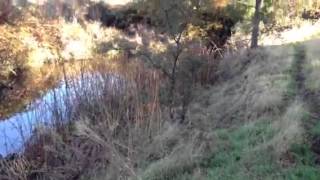 Celebrity Discovering the hidden secret places in Roseville :) Net Worth