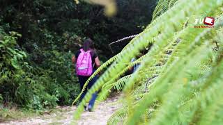 Reserva Biologica El Güisayote Ocotepeque