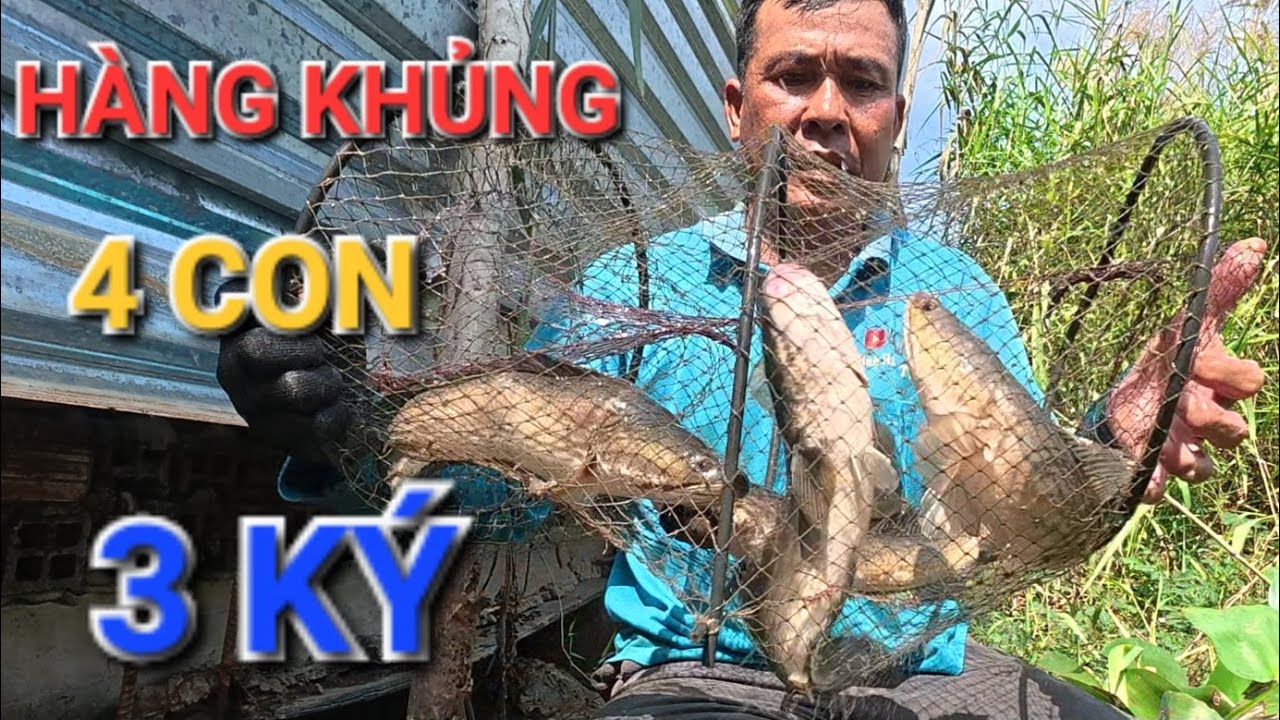 LUỒNG LỜ HÔM NAY DÍNH TOÀN HÀNG KHỦNG QUÁ NHIỀU