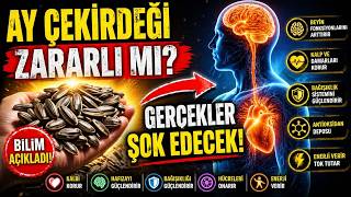 Ay Çekirdeği Kilo Aldırır Mı? Sivilce Yapar Mı? (Bilinmeyen 5 İnanılmaz Faydası)