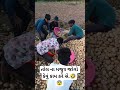 તોલ ના મજુર માટે કોન્ટેક કરો...🤣🤣😨 #song #meldiramofficial #love #khunkharmeldi #melodyking #singing