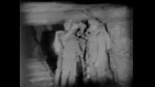 Canary used for testing for carbon monoxide 1926 US Bureau of Mines