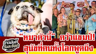 Life-Changing Turn! “Jinny Lu,” a Pug Once Nearly a Victim of the Meat Trade, Crowned World’s Ugl...