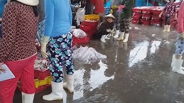 Cảng cá Lương Sơn