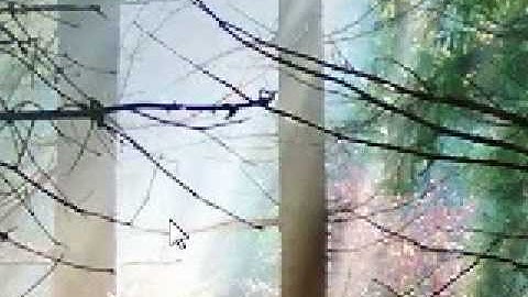 Show desktop icons in Windows Vista