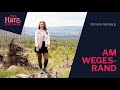 Romina Rehberg | Am Wegesrand