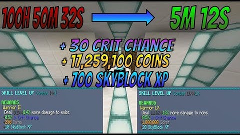 Infinite Combat EXP | Hypixel Skyblock Exploit