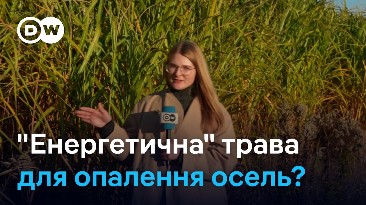 Біопаливо… з трави: як 