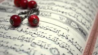 صفوان السويكت فجر 22-2-1434 ماتيسر من فاطر