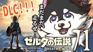 【はじめてのゼルダの伝説】＃71　DLC！DLC！旅はまだ続く！楽しんでいくぜ！【BotW】