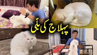 Meet Pehlaaj’s pet… Peanut