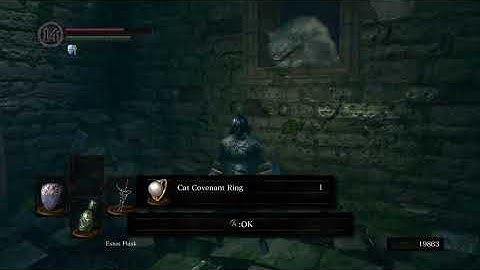 DARK SOULS - How to Join the Forest Hunters (Covenant: Forest Hunter)