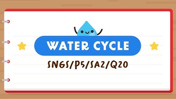 PSLE SCIENCE MADE SIMPLE EP176 | Water Cycle | Why Did The Rate Of Evaporation Change? 📈