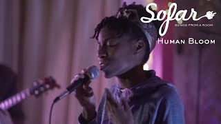 Video thumbnail of "Human Bloom - Colors On You | Sofar Chicago"