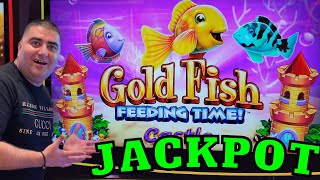 EPIC JACKPOT On Gold Fish Slot Machine screenshot 3