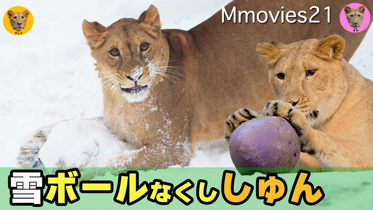 山中組み木　ワニ、ライオン　その他2点 山中組み木ワニ、ライオンその他2点