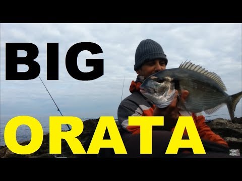 Pesca mista in Scaduta - Pesca a bolognese in mare ...