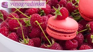 Мои макаронс - макаруны - macarons | Vinogradinka Мои макаронс - макаруны - macarons | Vinogradinka