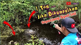 INI PARAHH..‼️MANCING IKAN YG ISINYA BISA 1 TON JIKA DIKUMPULKAN SEPANJANG PARIT INI ||MANCING KEPAR