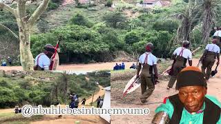  Izilwane Zikamhlola Eshowe Ezikamahlekisa Zivalelise Ngenkomo Kujikijela Emathebethu Kwanyuswa