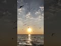 أتدري من يزيل الهم ان ضاقت بك الدنيا 🌹 كاملة ❤️