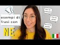 Learn how to use Italian pronoun NE with these example sentences (IT, AR SUB)