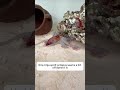The Color - Changing Octopus #exoticaquariumfish #aquarium #fishaquarium#fish #pets #octopus