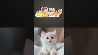 #cat #lipsyncs #cute #funny #kitten #lipsync #baby #cartoon #cutebaby