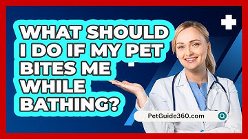 What Should I Do If My Pet Bites Me While Bathing? - PetGuide360.com
