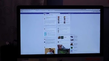 New Mac Bug? There is a bug IN my monitor!