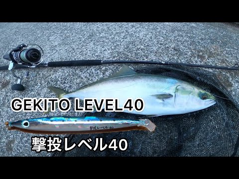 オオタニサン専用 楽天市場】イワタニ ミニマルS コンロ＋別売り専用プレート＋
