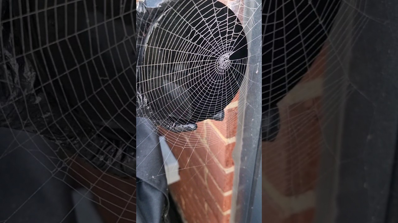 Подставки из настоящей паутины своими руками из смолы 