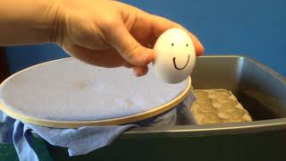 Impulse - change of momentum demonstrated with eggs
