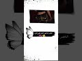 الخصر لما تهزو خنجر بقليبي تغزو اكسبلور ذواقه شعر ايقنت لايك
