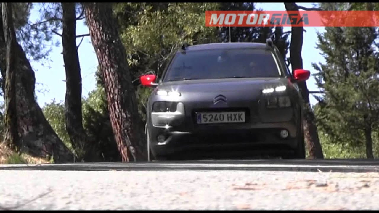 técnica ingles C4 Cactus prueba dinamica