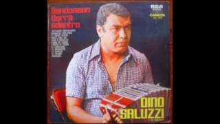 Video thumbnail of "Desdeñosa - Dino Saluzzi"