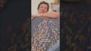 À Quoi Ressemblent Les Câpres Dans La Nature ?