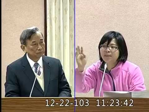 20141222 婚姻平權草案詢答 - 林淑芬