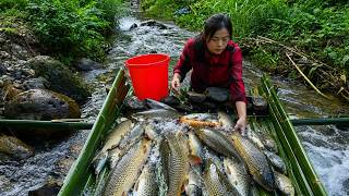 [TIMELAPSE] -- 8920 Days Building A Bamboo Trap On A Dam To Catch Tons Of Fish!