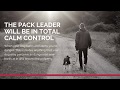 !!! Dog Obedience Training - Can You Do It Yourself? !!! Dog Obedience Training - Can You Do It Yourself?