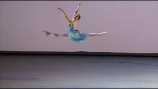 43 Times Ballet Made Me Say Wow